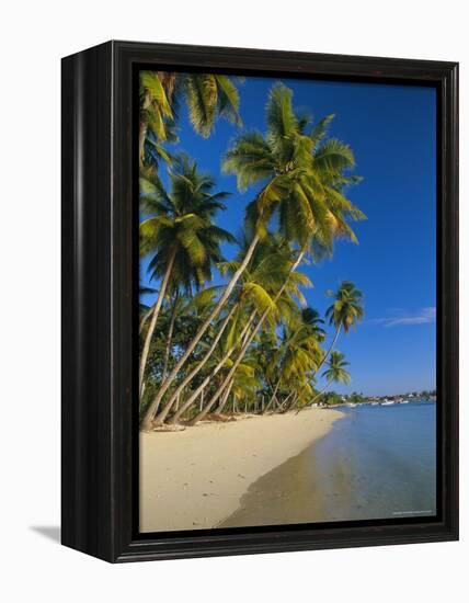 Palm Trees and Beach, Pigeon Point, Tobago, Trinidad and Tobago, West Indies-Gavin Hellier-Framed Premier Image Canvas