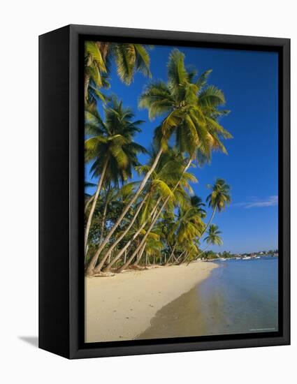 Palm Trees and Beach, Pigeon Point, Tobago, Trinidad and Tobago, West Indies-Gavin Hellier-Framed Premier Image Canvas