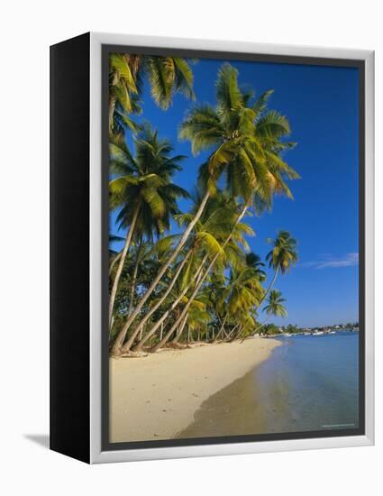 Palm Trees and Beach, Pigeon Point, Tobago, Trinidad and Tobago, West Indies-Gavin Hellier-Framed Premier Image Canvas