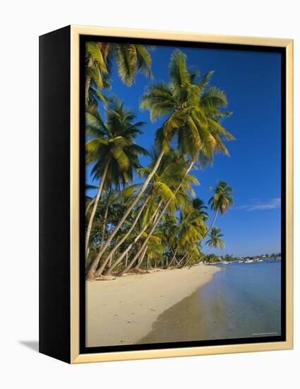 Palm Trees and Beach, Pigeon Point, Tobago, Trinidad and Tobago, West Indies-Gavin Hellier-Framed Premier Image Canvas