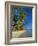 Palm Trees and Beach, Pigeon Point, Tobago, Trinidad and Tobago, West Indies-Gavin Hellier-Framed Photographic Print