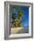 Palm Trees and Beach, Pigeon Point, Tobago, Trinidad and Tobago, West Indies-Gavin Hellier-Framed Photographic Print