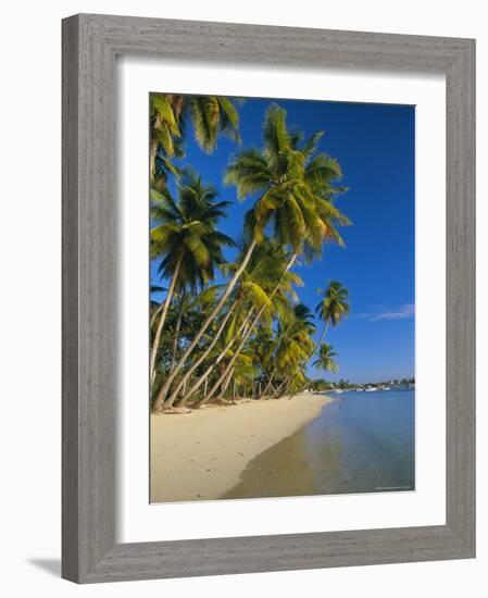 Palm Trees and Beach, Pigeon Point, Tobago, Trinidad and Tobago, West Indies-Gavin Hellier-Framed Photographic Print