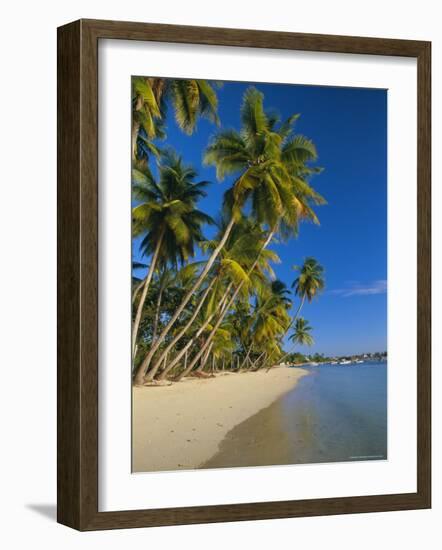 Palm Trees and Beach, Pigeon Point, Tobago, Trinidad and Tobago, West Indies-Gavin Hellier-Framed Photographic Print