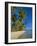 Palm Trees and Beach, Pigeon Point, Tobago, Trinidad and Tobago, West Indies-Gavin Hellier-Framed Photographic Print