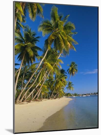 Palm Trees and Beach, Pigeon Point, Tobago, Trinidad and Tobago, West Indies-Gavin Hellier-Mounted Photographic Print