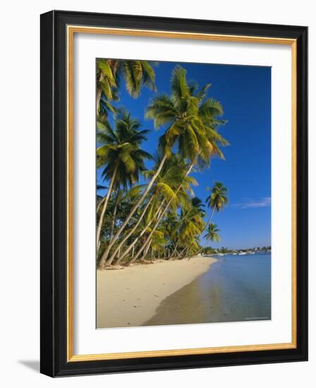 Palm Trees and Beach, Pigeon Point, Tobago, Trinidad and Tobago, West Indies-Gavin Hellier-Framed Photographic Print