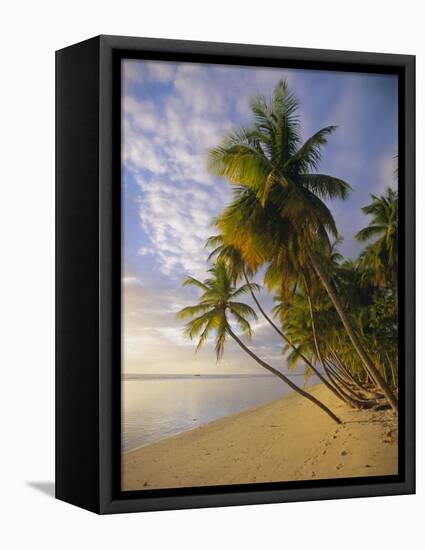 Palm Trees and Beach, Pigeon Point, Tobago, Trinidad and Tobago, West Indies-Gavin Hellier-Framed Premier Image Canvas