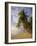 Palm Trees and Beach, Pigeon Point, Tobago, Trinidad and Tobago, West Indies-Gavin Hellier-Framed Photographic Print