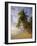 Palm Trees and Beach, Pigeon Point, Tobago, Trinidad and Tobago, West Indies-Gavin Hellier-Framed Photographic Print