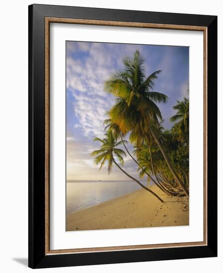 Palm Trees and Beach, Pigeon Point, Tobago, Trinidad and Tobago, West Indies-Gavin Hellier-Framed Photographic Print