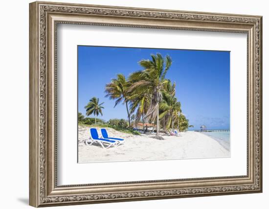 Palm Trees and Beach, Playa El Paso, Cayo Guillermo, Jardines Del Rey, Ciego De Avila Province-Jane Sweeney-Framed Photographic Print