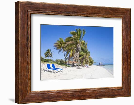 Palm Trees and Beach, Playa El Paso, Cayo Guillermo, Jardines Del Rey, Ciego De Avila Province-Jane Sweeney-Framed Photographic Print