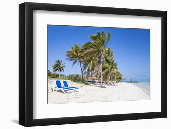 Palm Trees and Beach, Playa El Paso, Cayo Guillermo, Jardines Del Rey, Ciego De Avila Province-Jane Sweeney-Framed Photographic Print