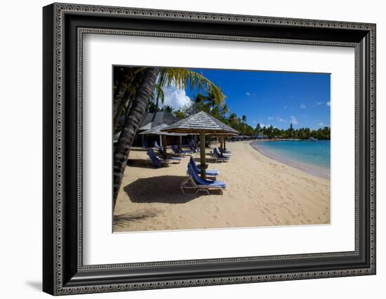 Palm Trees and Beach-Frank Fell-Framed Photographic Print