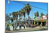 Palm Trees and Blue Sky Venice Beach-Steve Ash-Mounted Photographic Print