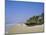 Palm Trees and Fishing Boats, Colva Beach, Goa, India-Jenny Pate-Mounted Photographic Print