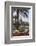 Palm Trees and Flower Beds Along Al-Corniche, Qatar-Eleanor Scriven-Framed Photographic Print