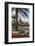 Palm Trees and Flower Beds Along Al-Corniche, Qatar-Eleanor Scriven-Framed Photographic Print