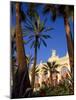 Palm Trees and Flowers in Front of the Casino at Monte Carlo, Monaco-Ruth Tomlinson-Mounted Photographic Print