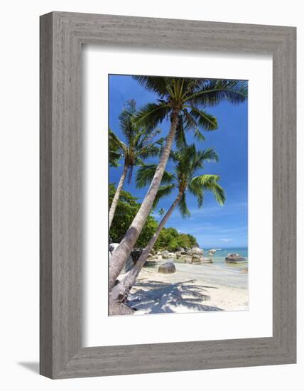 Palm Trees and Lamai Beach, Koh Samui, Thailand, Southeast Asia, Asia-Lee Frost-Framed Photographic Print