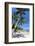 Palm Trees and Lamai Beach, Koh Samui, Thailand, Southeast Asia, Asia-Lee Frost-Framed Photographic Print