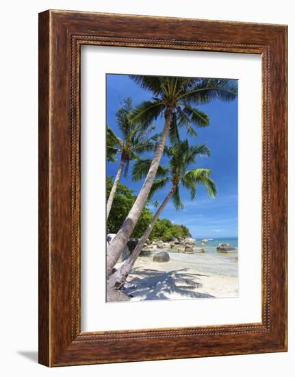 Palm Trees and Lamai Beach, Koh Samui, Thailand, Southeast Asia, Asia-Lee Frost-Framed Photographic Print