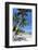 Palm Trees and Lamai Beach, Koh Samui, Thailand, Southeast Asia, Asia-Lee Frost-Framed Photographic Print