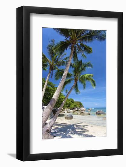 Palm Trees and Lamai Beach, Koh Samui, Thailand, Southeast Asia, Asia-Lee Frost-Framed Photographic Print