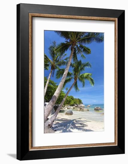 Palm Trees and Lamai Beach, Koh Samui, Thailand, Southeast Asia, Asia-Lee Frost-Framed Photographic Print