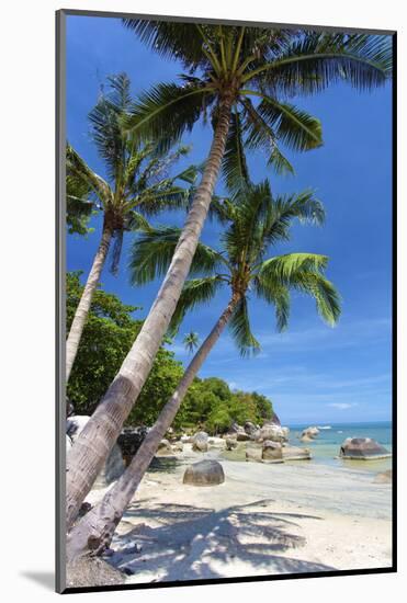 Palm Trees and Lamai Beach, Koh Samui, Thailand, Southeast Asia, Asia-Lee Frost-Mounted Photographic Print