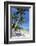 Palm Trees and Lamai Beach, Koh Samui, Thailand, Southeast Asia, Asia-Lee Frost-Framed Photographic Print