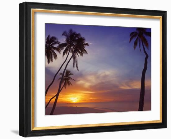Palm Trees and Ocean at Sunset, Maldives, Indian Ocean, Asia&No.10;-Sakis Papadopoulos-Framed Photographic Print