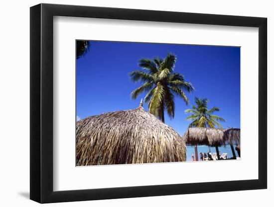 Palm Trees and Palapa Umbrellas Palm Beach Aruba-George Oze-Framed Photographic Print