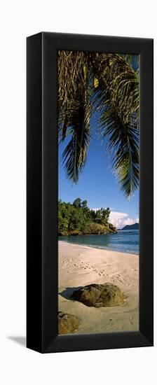 Palm Trees and Rocks on a Small Secluded Beach on North Island, Seychelles-null-Framed Stretched Canvas