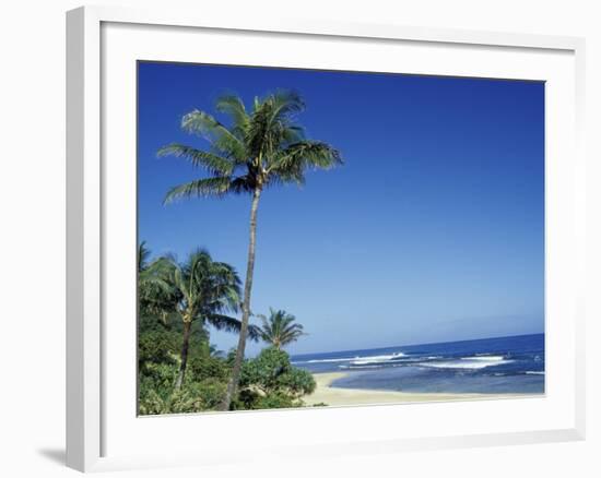 Palm Trees and Sand at Ha'ena Beach, Kauai, Hawaii, USA-Merrill Images-Framed Photographic Print