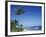 Palm Trees and Sand at Ha'ena Beach, Kauai, Hawaii, USA-Merrill Images-Framed Photographic Print