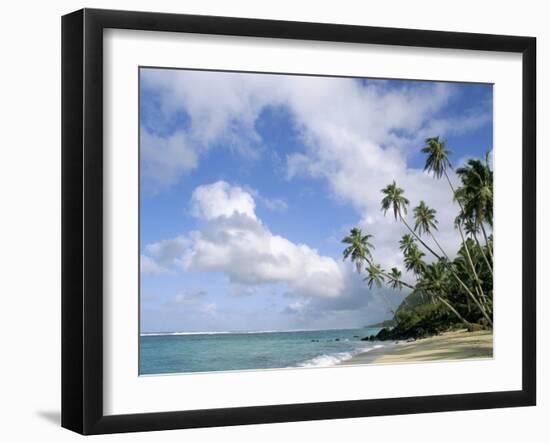 Palm Trees and Sea, Lalomanu Beach, Upolu Island, Western Samoa-Upperhall-Framed Photographic Print