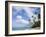 Palm Trees and Sea, Lalomanu Beach, Upolu Island, Western Samoa-Upperhall-Framed Photographic Print