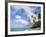 Palm Trees and Sea, Lalomanu Beach, Upolu Island, Western Samoa-Upperhall-Framed Photographic Print