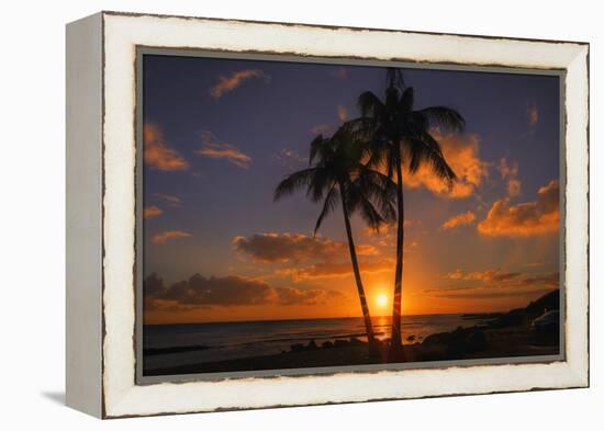 Palm Trees and Setting Sun, Kauai Hawaii-Vincent James-Framed Premier Image Canvas