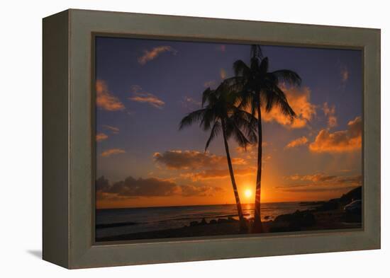 Palm Trees and Setting Sun, Kauai Hawaii-Vincent James-Framed Premier Image Canvas