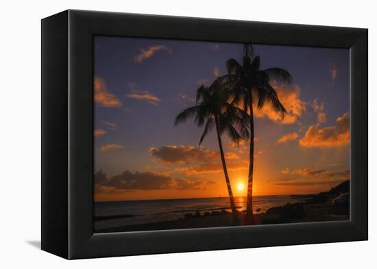 Palm Trees and Setting Sun, Kauai Hawaii-Vincent James-Framed Premier Image Canvas