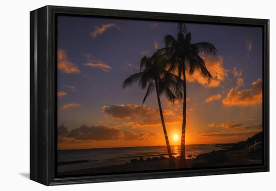 Palm Trees and Setting Sun, Kauai Hawaii-Vincent James-Framed Premier Image Canvas