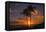 Palm Trees and Setting Sun, Kauai Hawaii-Vincent James-Framed Premier Image Canvas