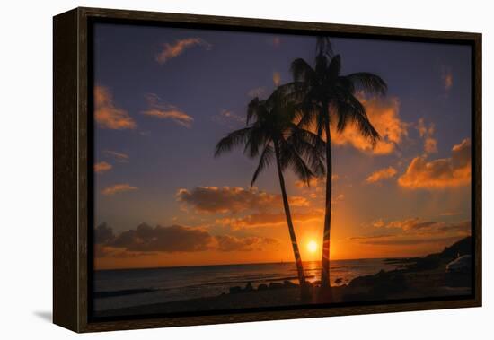 Palm Trees and Setting Sun, Kauai Hawaii-Vincent James-Framed Premier Image Canvas