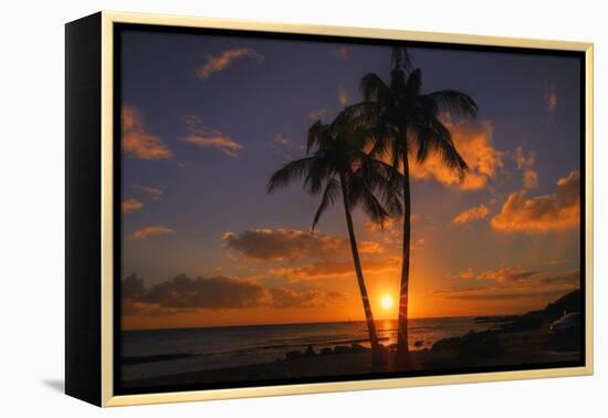 Palm Trees and Setting Sun, Kauai Hawaii-Vincent James-Framed Premier Image Canvas