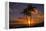 Palm Trees and Setting Sun, Kauai Hawaii-Vincent James-Framed Premier Image Canvas