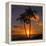 Palm Trees and Setting Sun (Square), Kauai Hawaii-Vincent James-Framed Premier Image Canvas