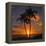 Palm Trees and Setting Sun (Square), Kauai Hawaii-Vincent James-Framed Premier Image Canvas